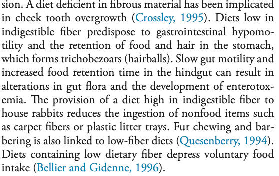 Fibre in Diet