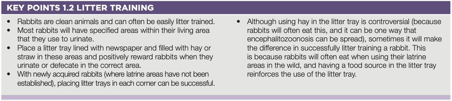 Litter Training Litter Training