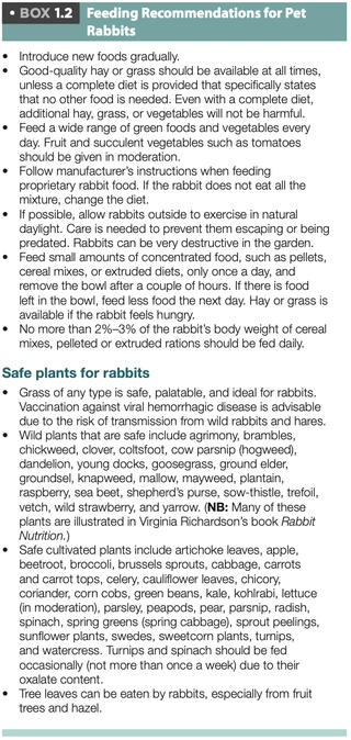 Feeding Recommendations