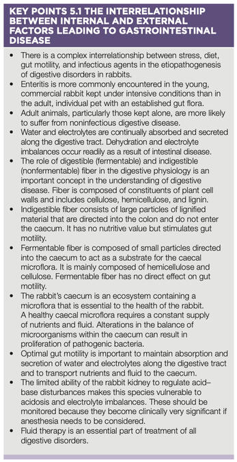 THE INTERRELATIONSHIP BETWEEN INTERNAL AND EXTERNAL FACTORS LEADING TO GASTROINTESTINAL DISEASE
