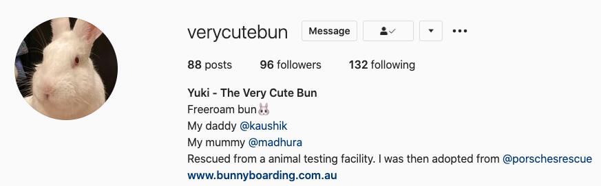 Very Cute Bunhouse